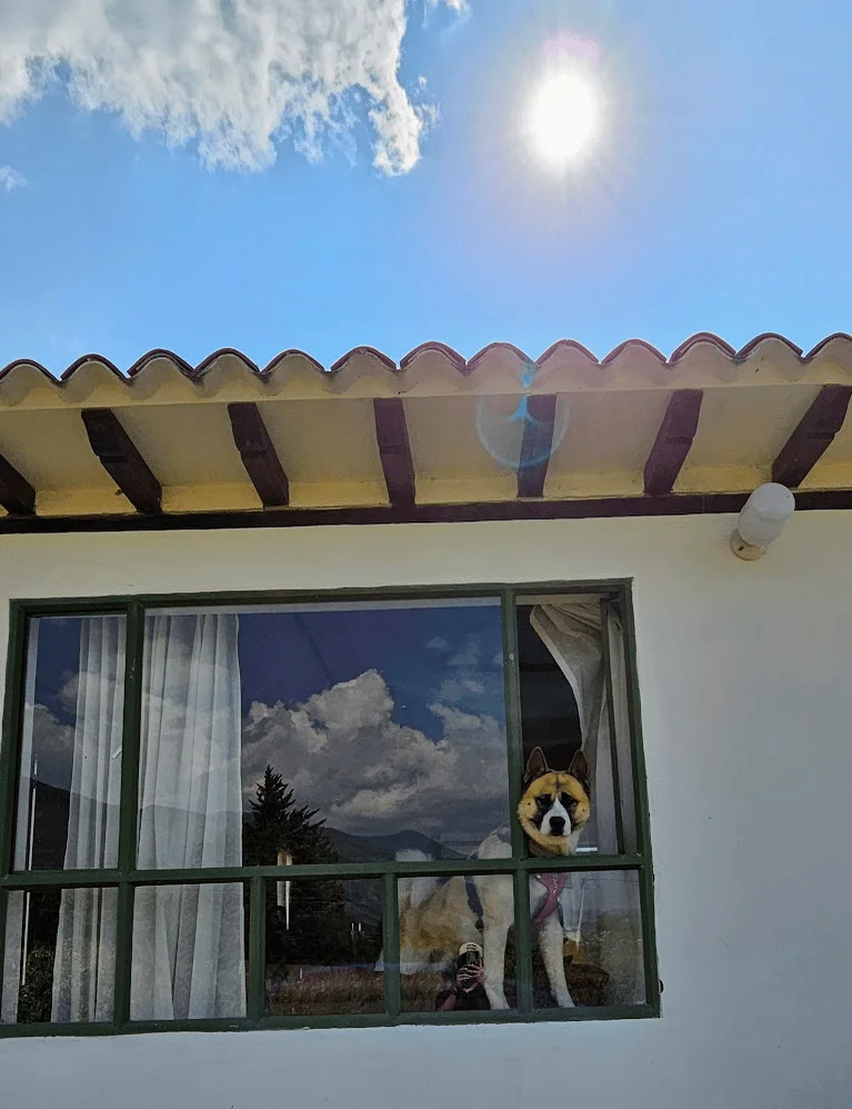Hospedaje pet friendly en Villa de Leyva